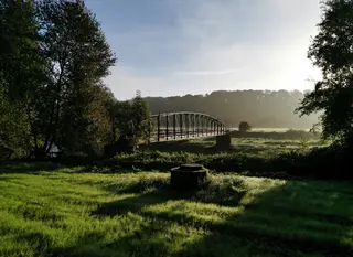 Foto Wald