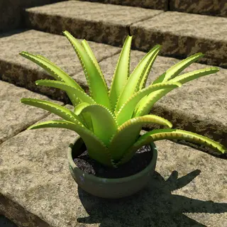 3D Visualisierung  Agave