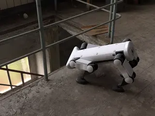 3D Visualisierung Roboter schnüffelt